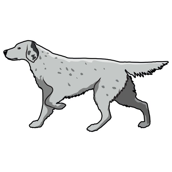 Signmission English Setter Dog Decal, Dog Lover Decor Vinyl Sticker D-12-English Setter - main